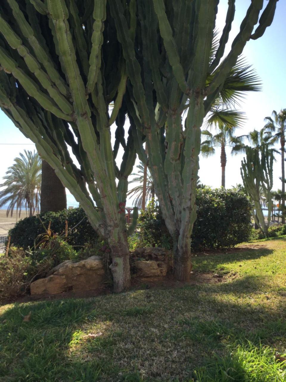 Urbanizacion Terrazas 3 * Marbella